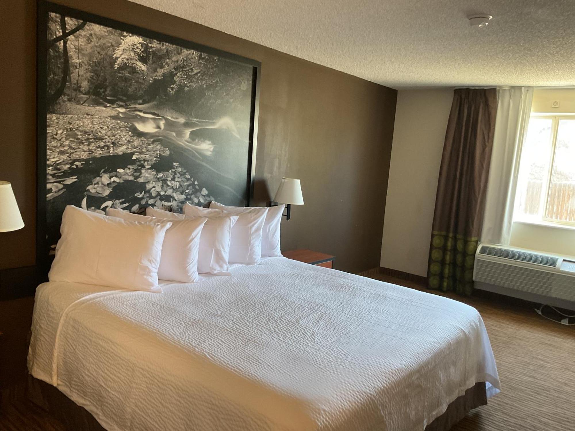 Super 8 By Wyndham Colorado Springs Airport Motel Eksteriør billede